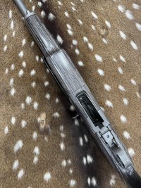 IMG_4279.jpeg