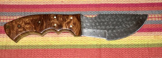 IMG_1318.jpeg