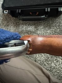 IMG_0995.jpeg