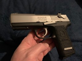 IMG_7913.jpeg