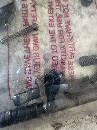 IMG_4761.jpeg