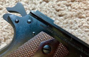 IMG_2829.jpeg
