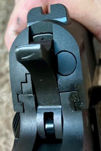 IMG_2833.jpeg
