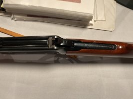 IMG_1313.jpeg