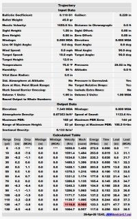 RPR Hornady wmr 45gr ballistics.jpg