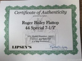 Certificate version I.jpg