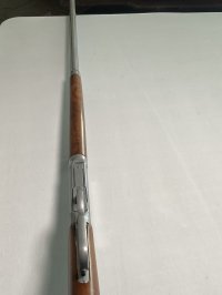 IMG_1371.jpeg