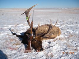 Dad's Elk 2014 002.jpg