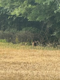 IMG_5510.jpeg