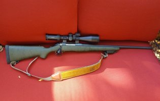 Ruger 204.jpg Ruger 204.jpg
