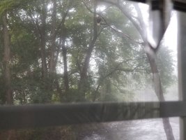 20200908_071806_Original_Original.jpeg