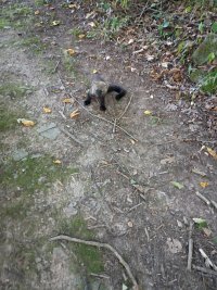 IMG_20250812_073334070.jpg