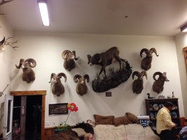 IMG_1777.jpeg