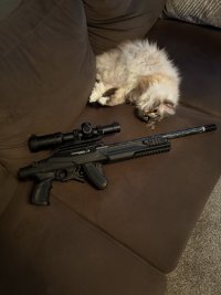 IMG_0934.jpeg
