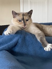 IMG_6141.jpeg
