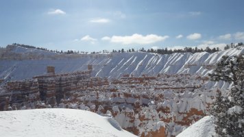 20190222_142007.jpg
