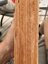 IMG_5891.jpeg
