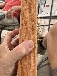 IMG_5892.jpeg
