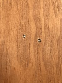 IMG_5893.jpeg