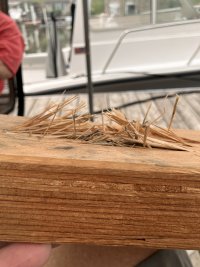 IMG_5895.jpeg