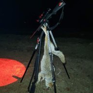Rowdygator