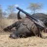 SAFARIKID