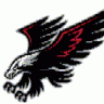 steelhawk