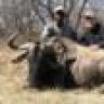 dustyvarmint