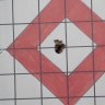 FLShooter