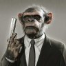 RugerMonkey