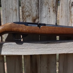 $250.00.jpg