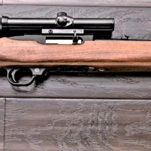 ruger 10-22 (2).jpg