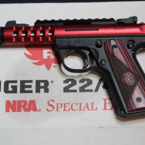 NRA.JPG