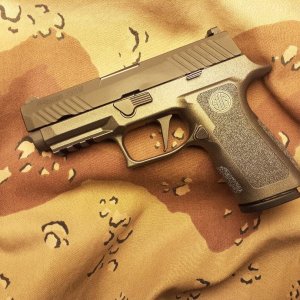 SIG P230 X-Carry Grey Ghost.jpg