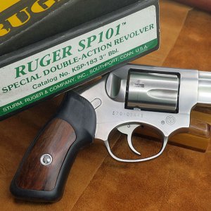Ruger101a.jpg