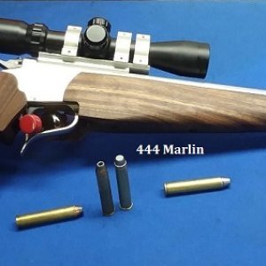 444 walnut xs.jpg