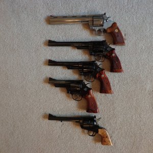 44 Magnums.JPG