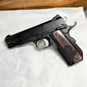 DW 1911 #2.jpg