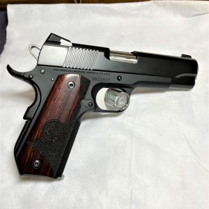 DW 1911.jpg
