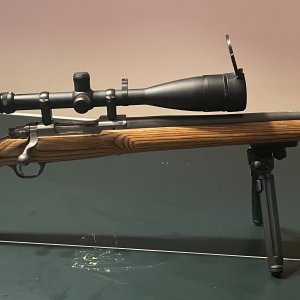 Ruger VT 223.jpg