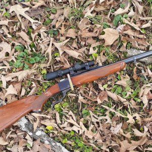 .458 ruger.jpg