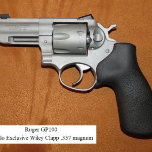 a Ruger GP100 WC.jpg