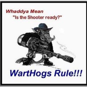 1355679082_Warthog(2).jpg.a6c6b2dc48e12db1cedf8c41277bfd57.jpg