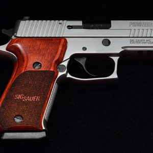 Sig_P220_Stainless_Elite_Carry_0717_72pi.jpg