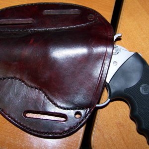 HolsterForBulldog_3.jpg