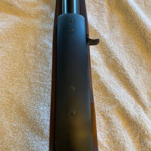 Ruger 5.jpg