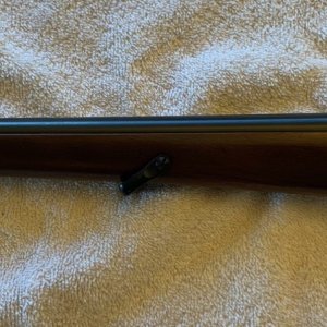 Ruger 6.jpg