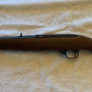 Ruger 10.jpg