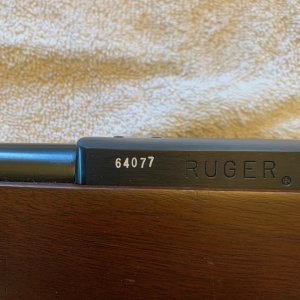 Ruger 9.jpg