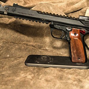 Iron Sights Herret Grips Facing Left.jpg